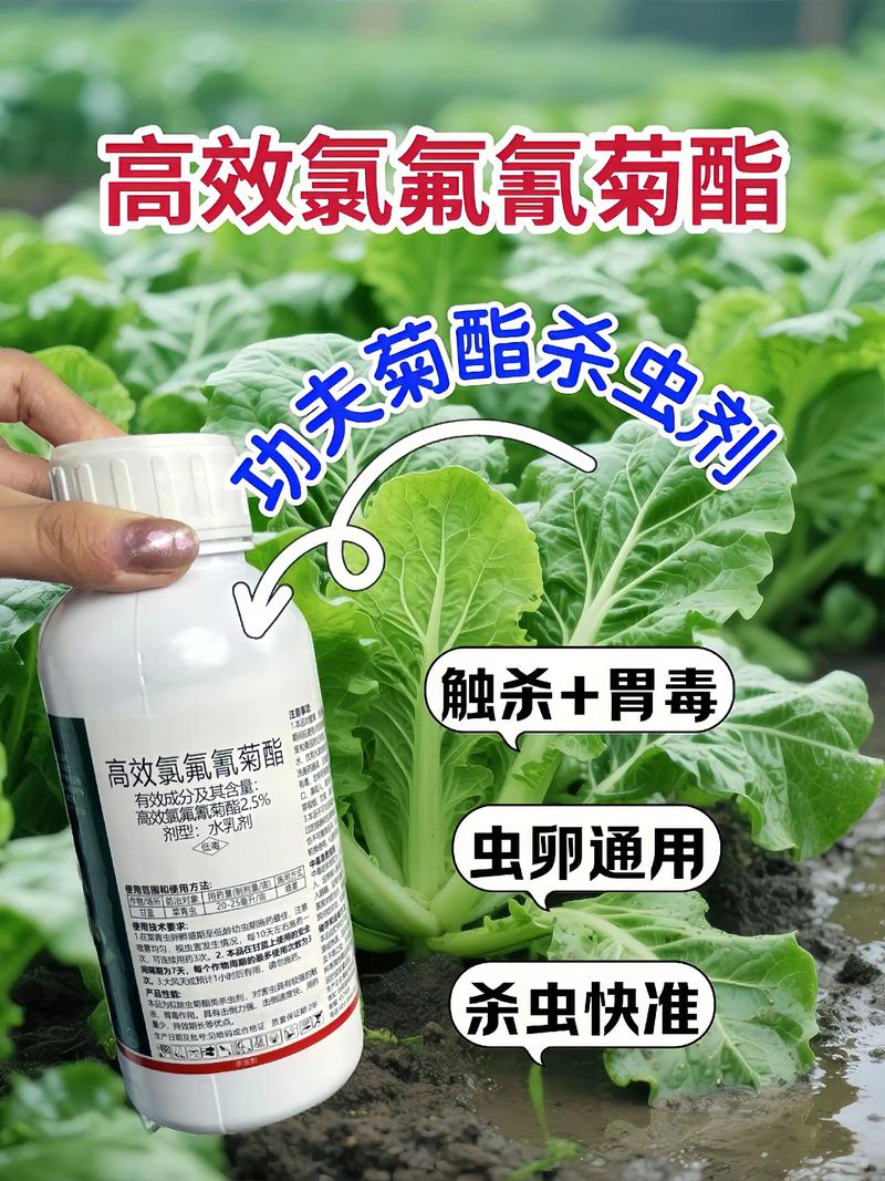 景德镇代生中心:农药对供卵代生妈妈的危害